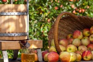 Яблочный сидр в домашних условиях (с газом и без) Сидр яблочный